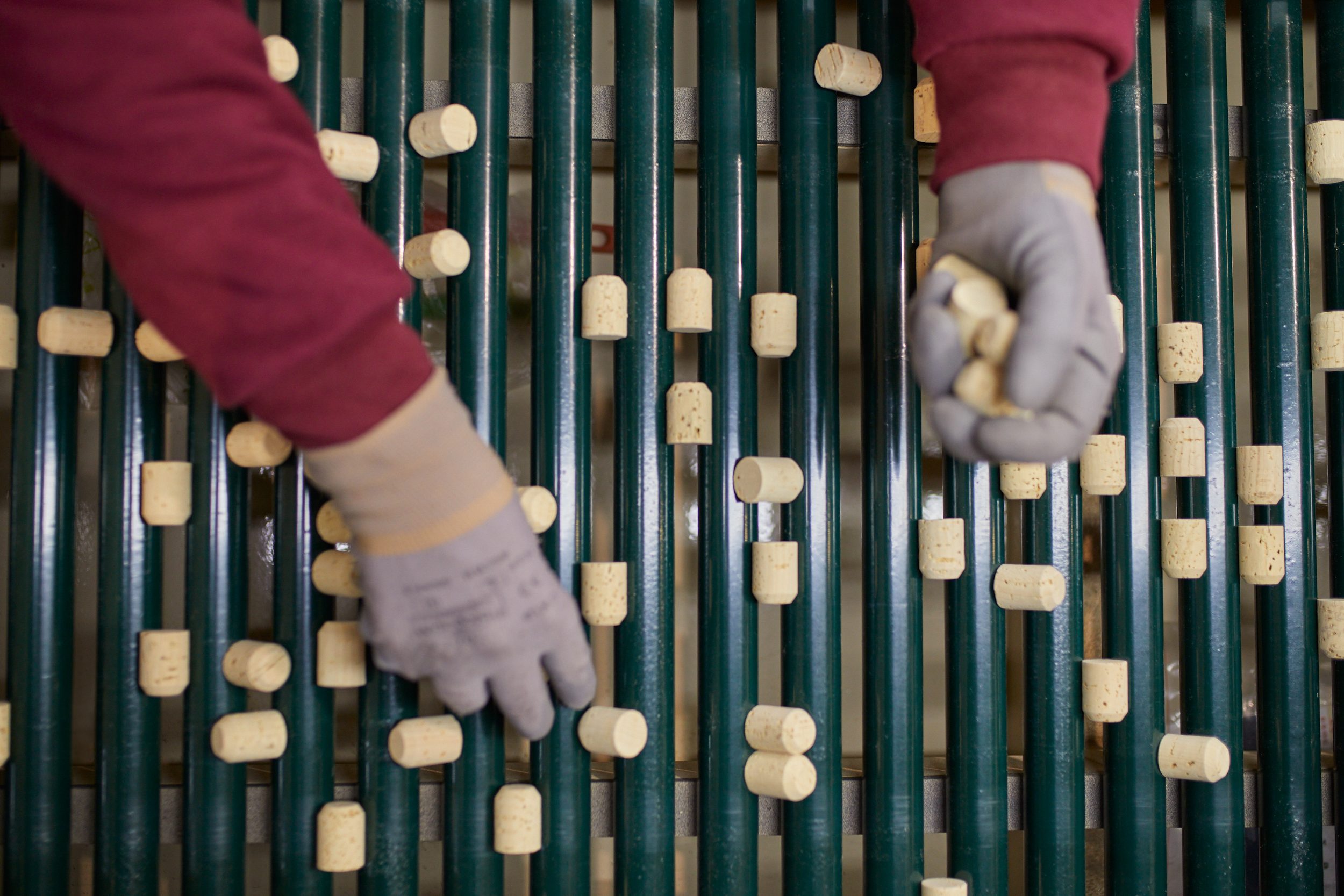 Personne sélectionnant des bouchons à tête, en se concentrant sur la qualité et le choix des matériaux.